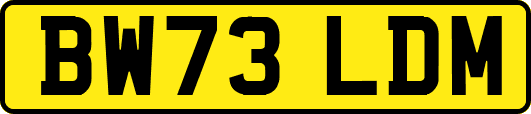 BW73LDM