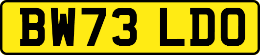 BW73LDO