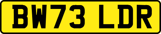 BW73LDR