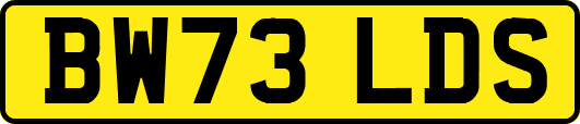 BW73LDS