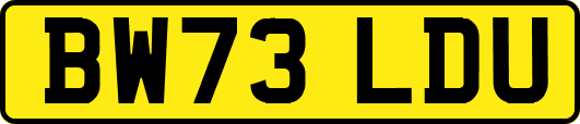 BW73LDU
