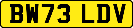 BW73LDV