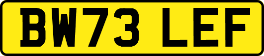 BW73LEF