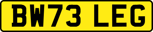 BW73LEG
