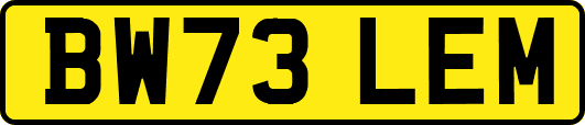 BW73LEM