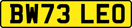 BW73LEO