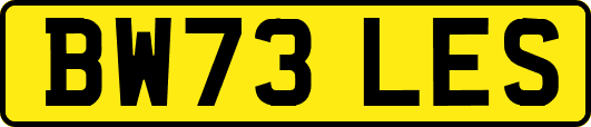 BW73LES