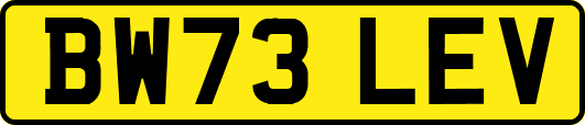 BW73LEV