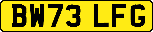 BW73LFG