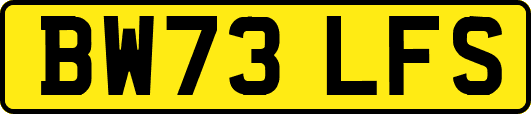 BW73LFS
