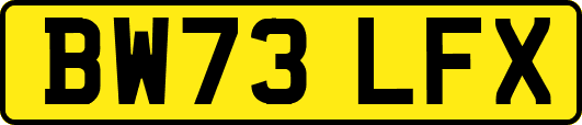BW73LFX