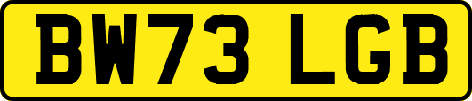 BW73LGB