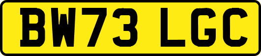 BW73LGC
