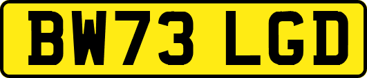 BW73LGD