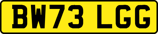 BW73LGG