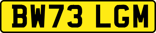 BW73LGM