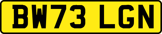 BW73LGN