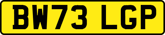BW73LGP