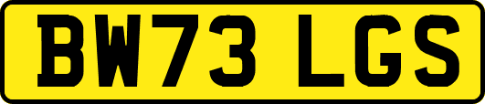 BW73LGS