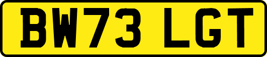 BW73LGT