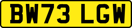 BW73LGW