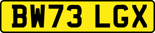 BW73LGX