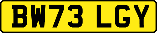 BW73LGY