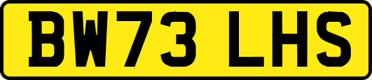 BW73LHS