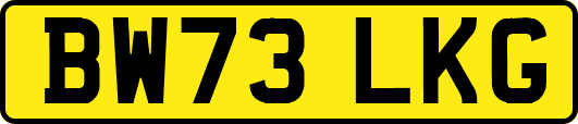 BW73LKG
