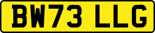 BW73LLG