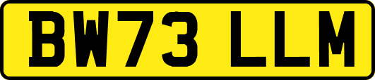 BW73LLM