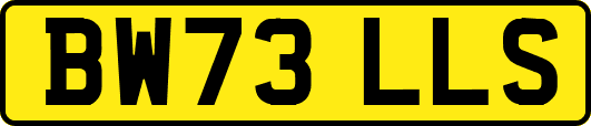 BW73LLS