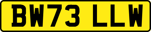 BW73LLW