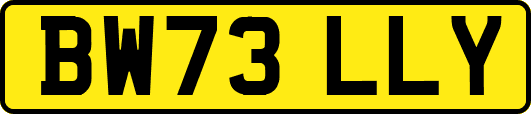 BW73LLY