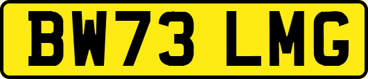 BW73LMG
