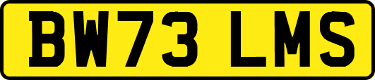 BW73LMS
