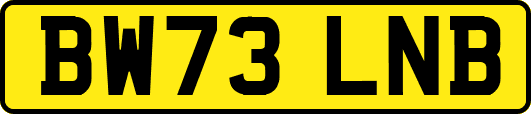 BW73LNB