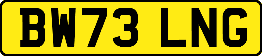 BW73LNG