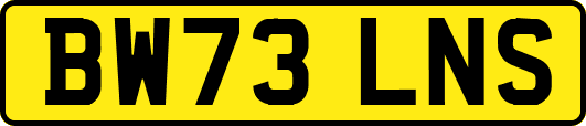 BW73LNS