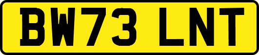 BW73LNT