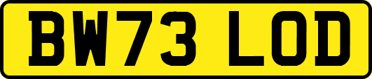 BW73LOD