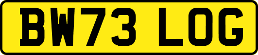 BW73LOG