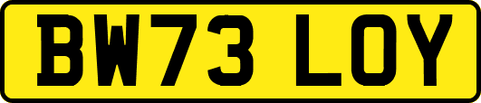 BW73LOY