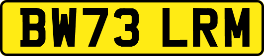 BW73LRM