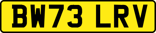 BW73LRV