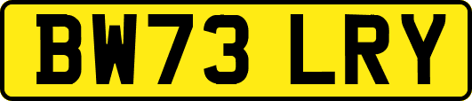 BW73LRY