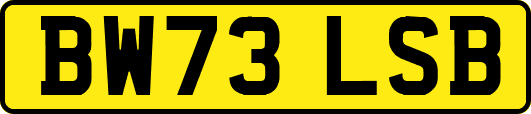 BW73LSB