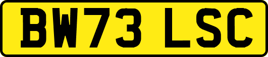 BW73LSC