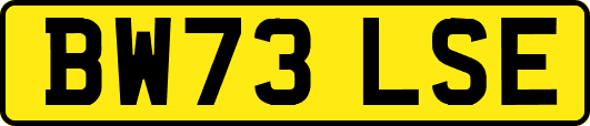 BW73LSE