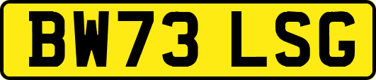 BW73LSG